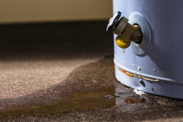 Best Water damage contractors near me  in Winchester, VA