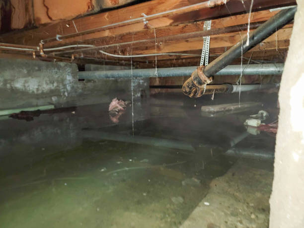 Best Water damage restoration specialists  in Winchester, VA