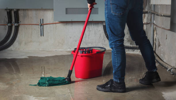 Best Water damage repair service  in Winchester, VA