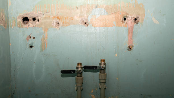 Best Water damage cleanup near me  in Winchester, VA