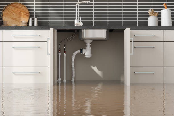 Best 24-hour water damage restoration  in Winchester, VA