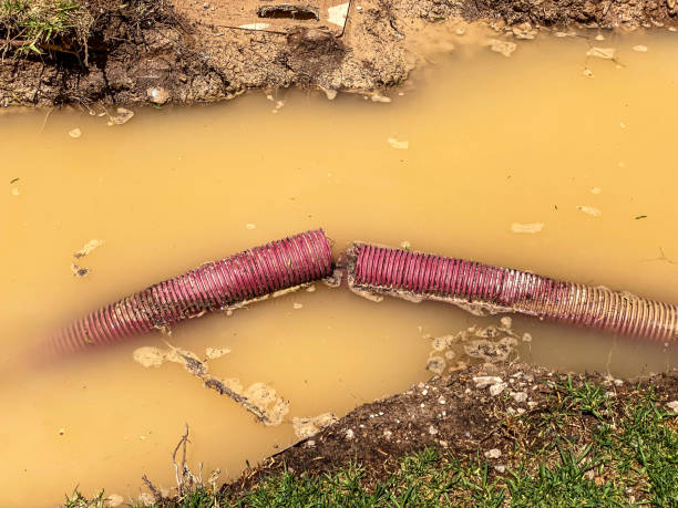 Best Water damage restoration near me  in Winchester, VA