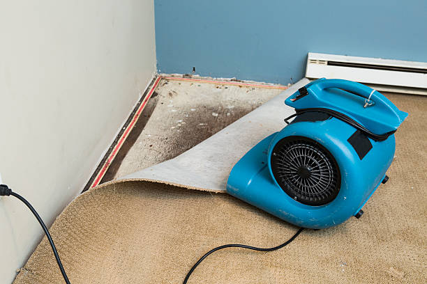 Best Water damage restoration experts  in Winchester, VA